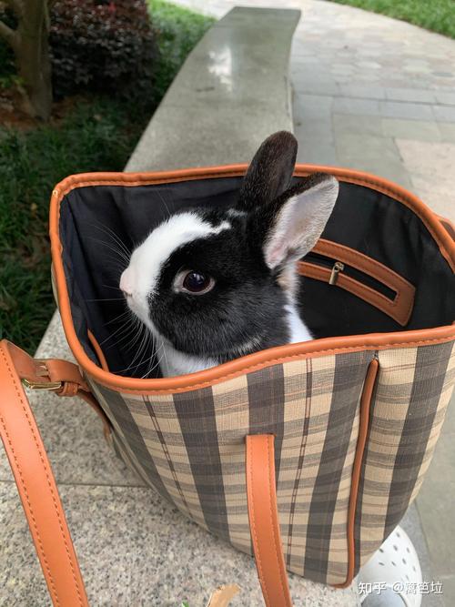 赌王四太被二太打耳光