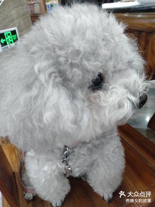 周易指点合婚配对真有那么灵吗 为情迷们揭开生辰八字的婚姻之谜 周易指点合婚配对真有那么灵吗 为情迷们揭开生辰八字的婚姻之谜