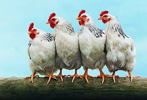 男宝宝水属性起名字影响未来配偶性格真让人(男宝宝水