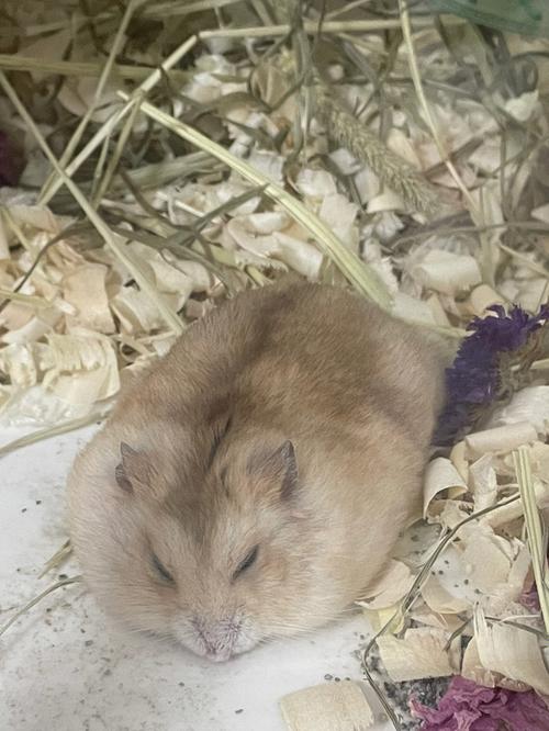 �������������������Ӱ��һ���˵��������Ҹú��ʵ���