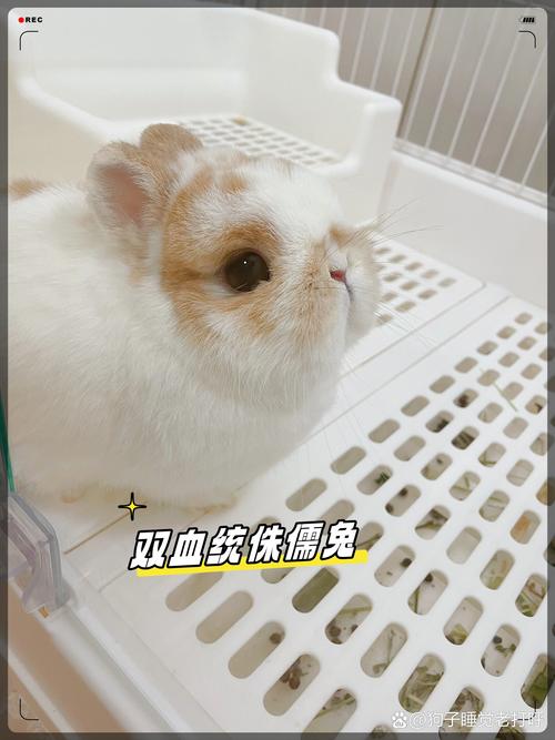 面相看你属于早婚还是晚婚