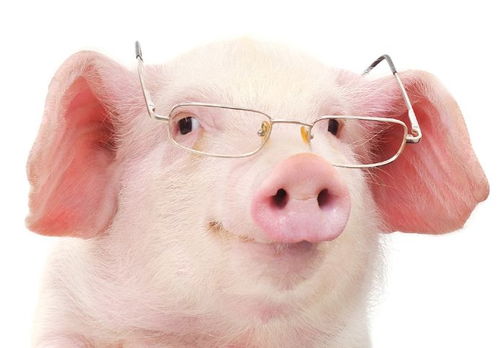 男生右脸颊中间有痣代表什么 男生右脸颊中间有痣代表什么