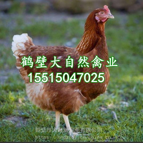 家庭旅馆取名 家庭旅馆取名