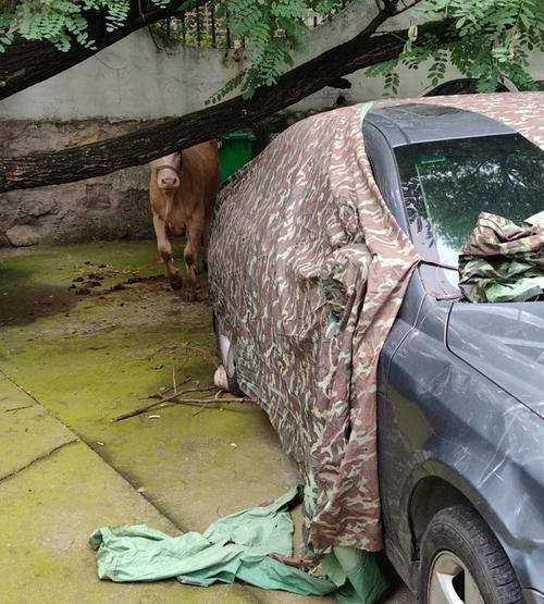 �����������������Ӻ�ô ������������ȶ�