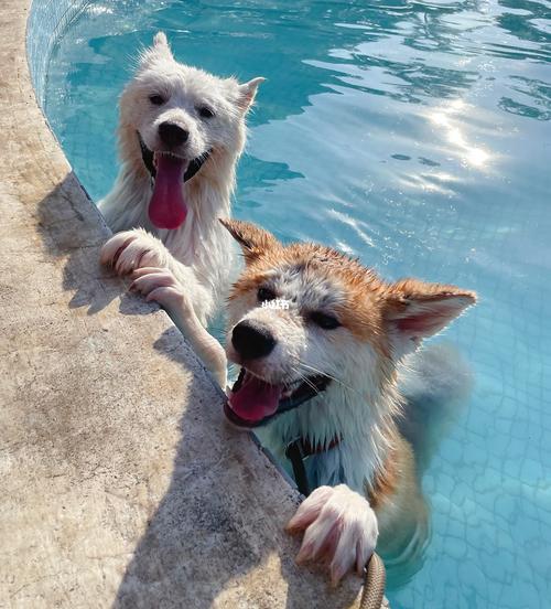 Եʲô˼Ӱǵ˼ʹϵзչ