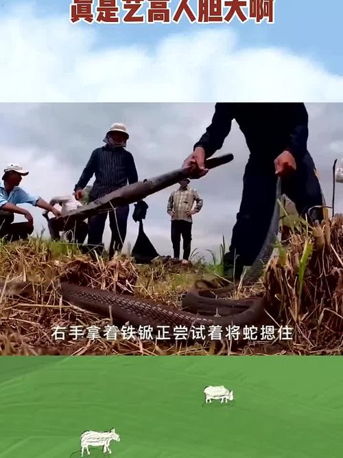 情商高的女人面对分手 男女交往 对方不主动