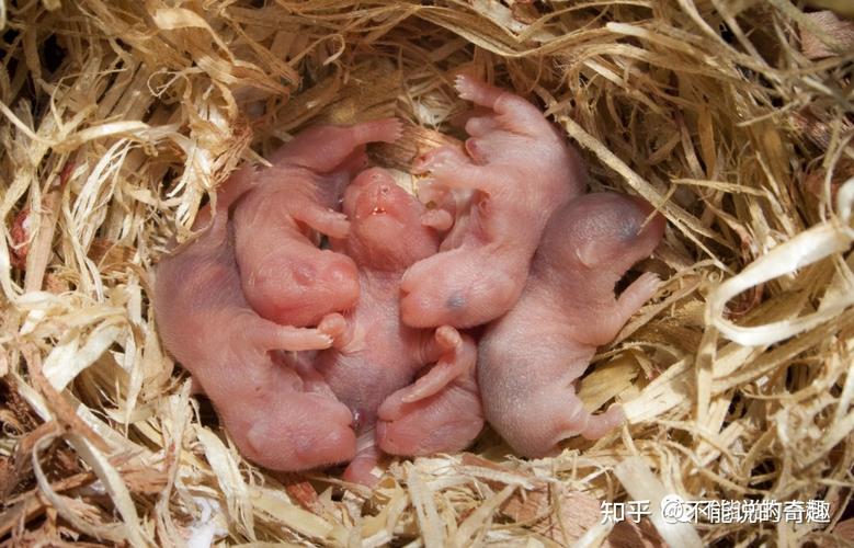 õĹ湫˾ܷѧҵƿڵ(ΪõĹ湫˾ͻѧҵƿ)