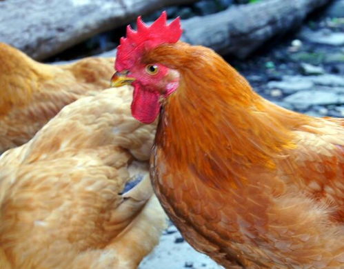 玉帝灵签18程咬金遇赦_前途迷茫吗(玉帝灵签18程咬金遇赦的格局层次令人吗) 玉帝灵签18程咬金遇赦_前途迷茫吗(玉帝灵签18程咬金遇赦的格局层次令人吗)