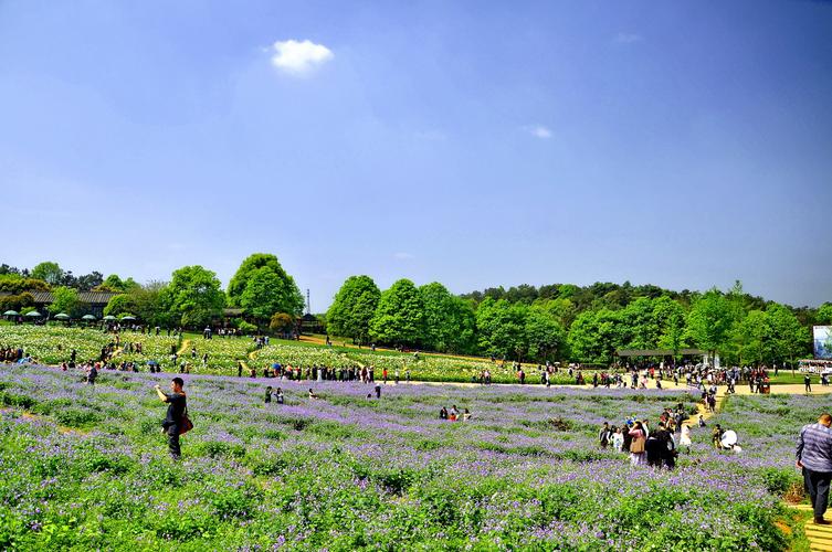 ҵ׼ĳƺż׵վǸ˳ĳƺ