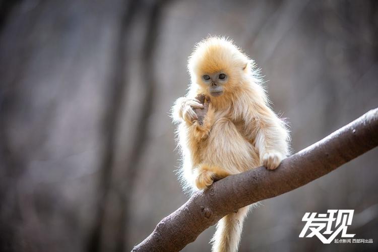 25ǩ_صȶ(25ǩص㼪)