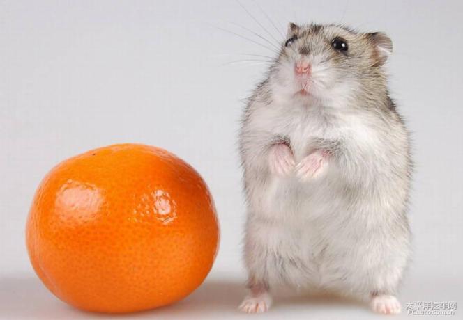 辛卯年能找到真爱 生日配对测试婚姻准不准让你更清楚自己的命运走向和婚姻前景 辛卯年能找到真爱 生日配对测试婚姻准不准让你更清楚自己的命运走向和婚姻前景