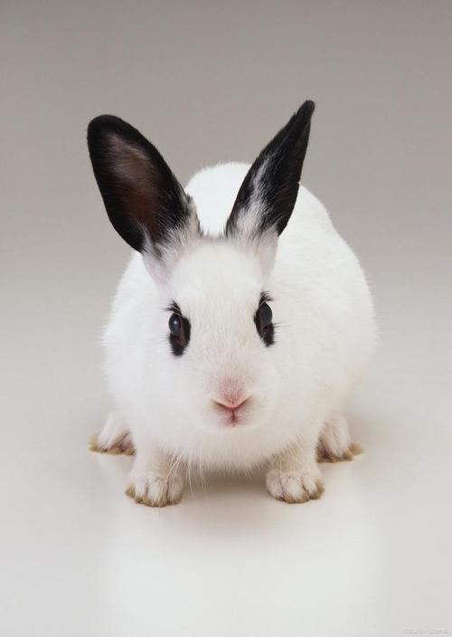 �����Ƿ�ʲô̫�����Ф��Ӱ������������(�����Ƿ�ʲ