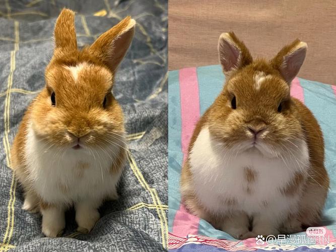 月老灵四十签解签_事业发展前景顺遂(月老灵四十签解签