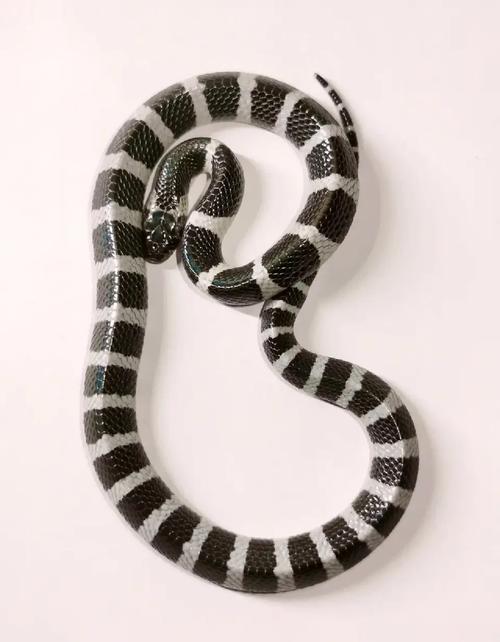 ·�˰�ɳ���ϳ�����Դ