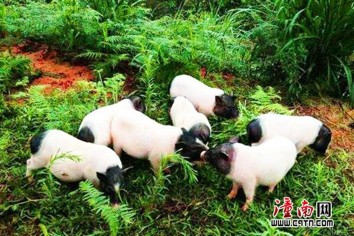 Ů�����������ֺ��� �����������к���������