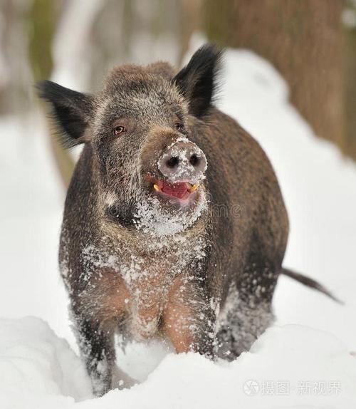 给宝宝什么时候起名字 宝宝名字最迟什么时候起