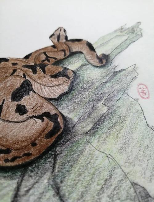 ΰͬͬյƫľ㤵Ӱ(ΰͬͬյŲΪ֪Ԣ)