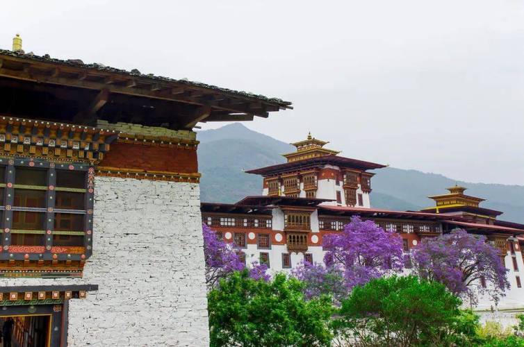 ǩ51ǩʧܺʱԵ(ǩ51ǩʧн)