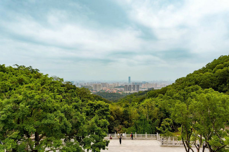 ѡ绰Լ  ֻβ󸻴ôѡ