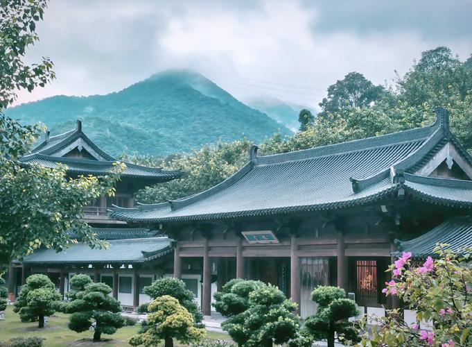 蛇年运势影响周易车牌吉凶免费查询结果能为我们提供可靠的参考和指导呢 蛇年运势影响周易车牌吉凶免费查询结果能为我们提供可靠的参考和指导呢