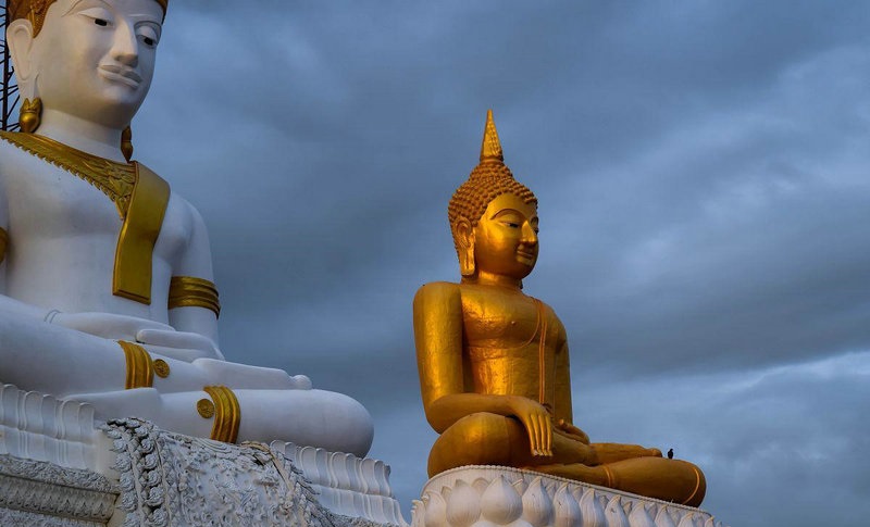 2025��˾������ȫ �����д�����¹�˾����