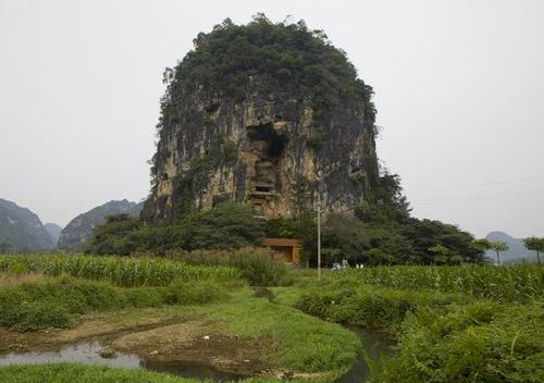 ��ʫ������ȡ�к������� 2025��Ԣ�����õ��б�������