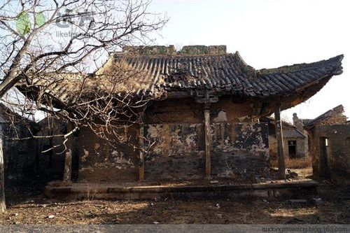 为什么说2025百年难遇 牛宝宝名字推荐 为什么说2025百年难遇 牛宝宝名字推荐