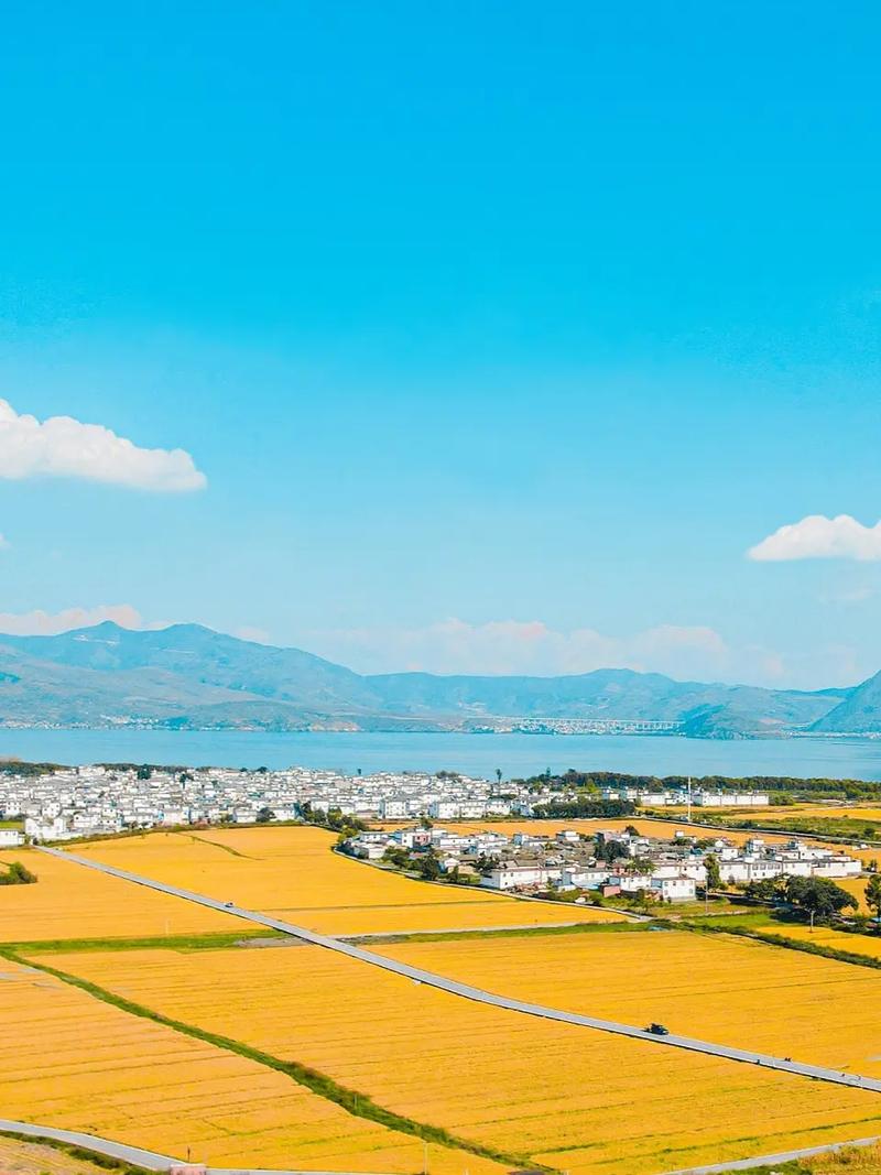 虎年姓张的宝宝起什么名字好 虎年女宝乳名起什么好 虎年姓张的宝宝起什么名字好 虎年女宝乳名起什么好