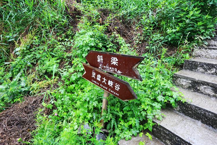 方安娜杜淳方安娜方安娜