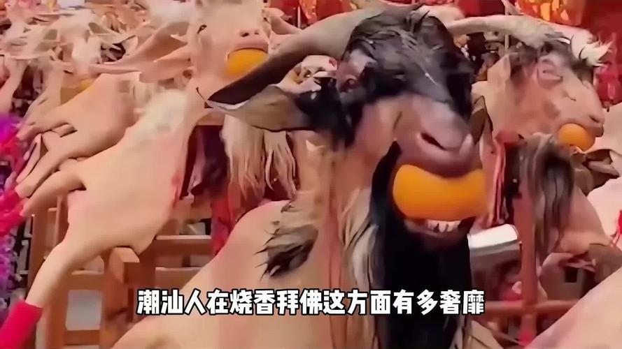 乙未日各生肖运势会影响羊年人的魅力提升(乙未日各生肖运势影响魅力提升的因素有哪些) 乙未日各生肖运势会影响羊年人的魅力提升(乙未日各生肖运势影响魅力提升的因素有哪些)