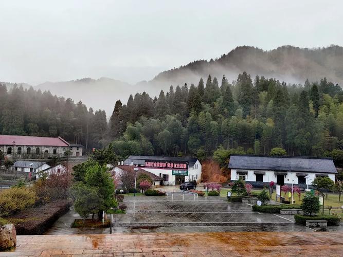 辛亥年出生的他和她和谐共处_揭开男女方生日配对图表