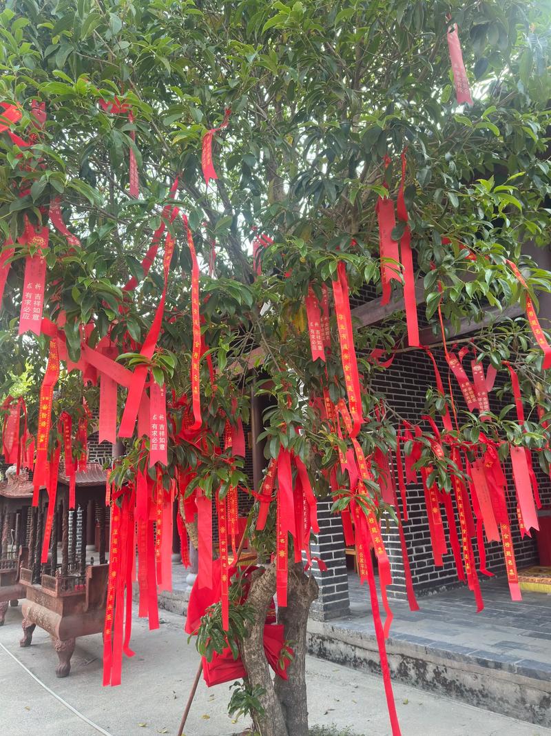 如何正确设置电脑开机自检 解决电脑开机不自检问题指