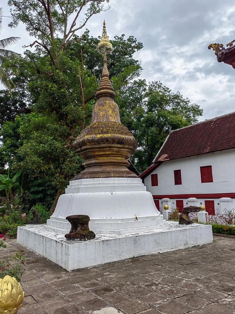 从头发看出个人运势