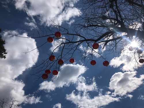 ƴ633ǩĽͼͥ(ƴ633ǩĽͼͥ_լ)