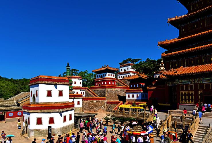 台湾一男子当街遛蛇被勒倒