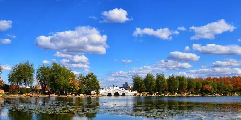 �����������ֺ���Ե �ϰ��ֻ�����������