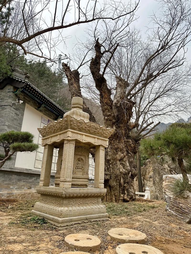 ǩʮǩǩ˳(ǩʮǩǩǩ)