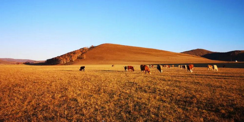 如何有效阅读电子学报 提升阅读体验的 如何有效阅读电子学报 提升阅读体验的