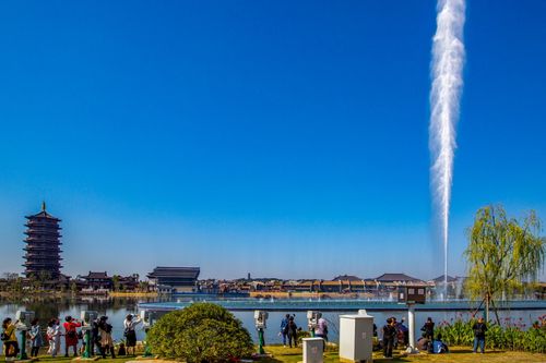 ɽ���������ǻ۵����� ɽ���������Ļ�������