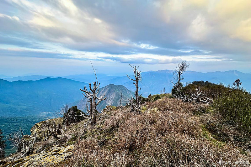 Ů��ʫ��������ȫ