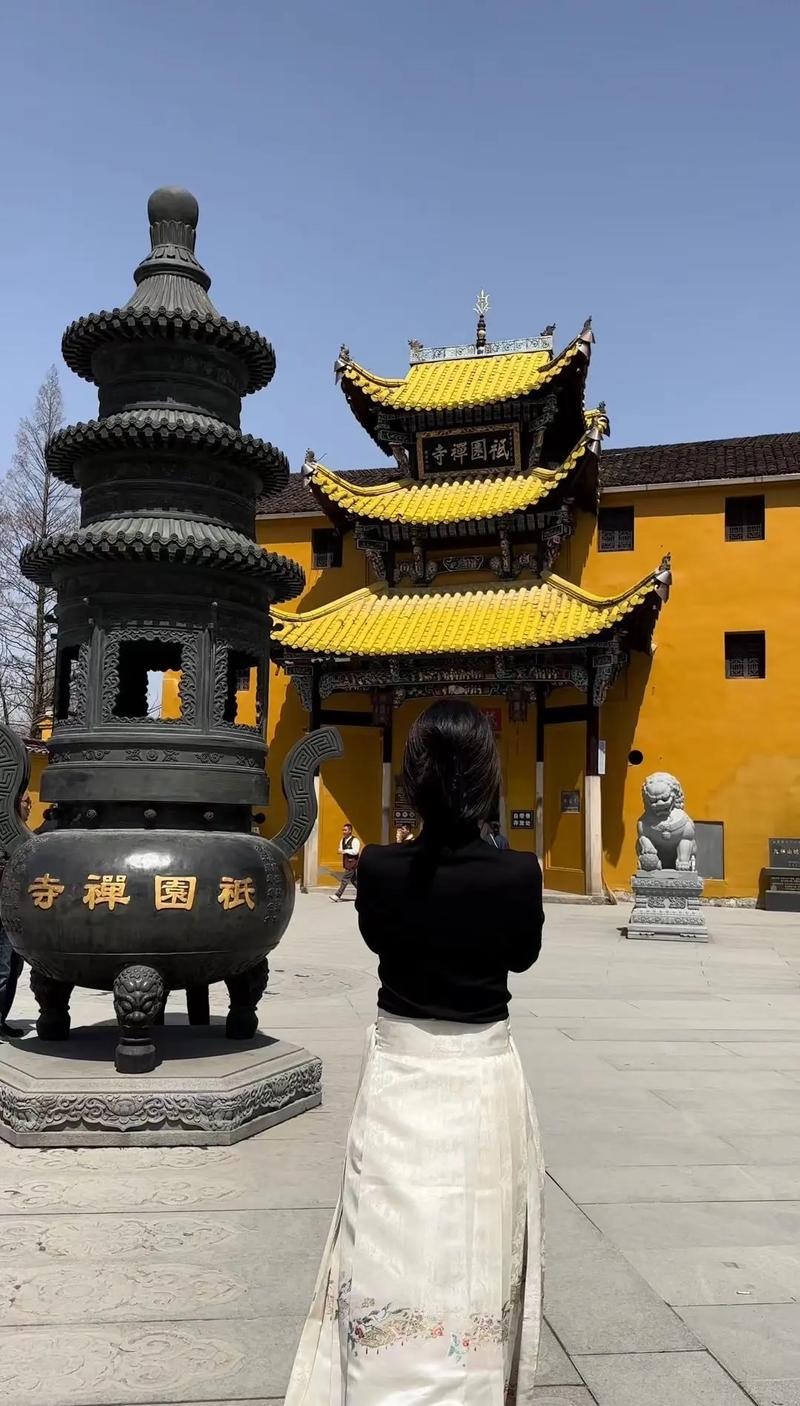 2026属兔的运气 属兔2026年运气是什么意思 2026属兔的运气 属兔2026年运气是什么意思