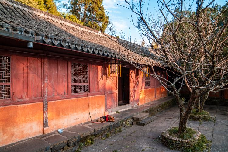 八字算命20部隐藏着什么天机 丁酉年月日时藏着什么命理玄机 八字算命20部隐藏着什么天机 丁酉年月日时藏着什么命理玄机