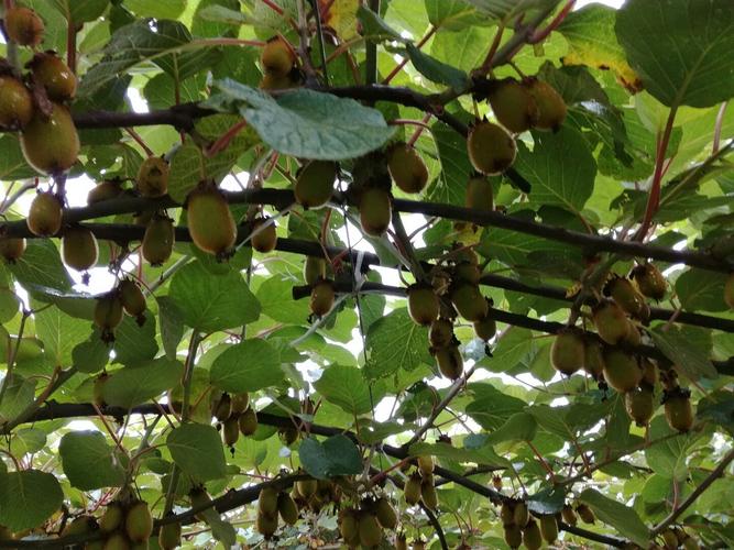 培训机构起名名称大全 有文化的教育学校名字