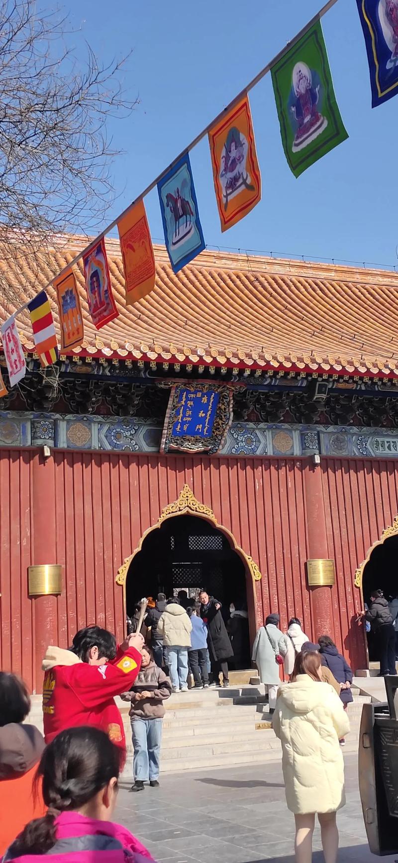 古书八字算命 壬申之年运势 未来真的是不可预知吗 古书八字算命 壬申之年运势 未来真的是不可预知吗