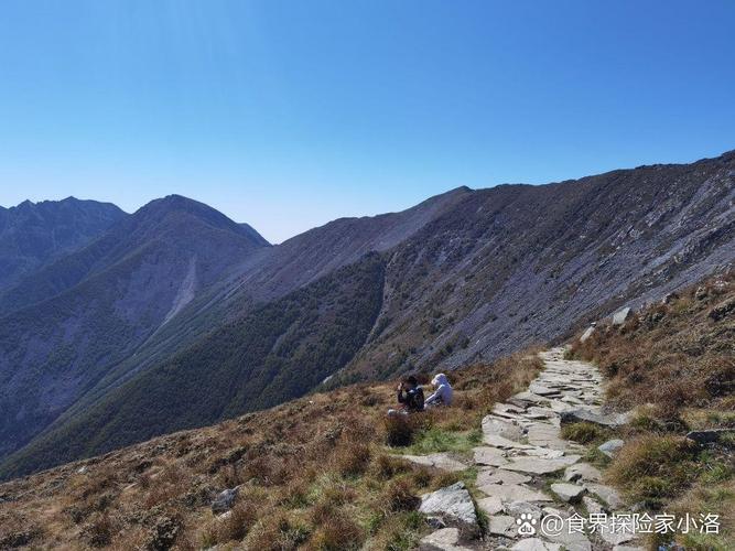 2025������������������ȫ ���������к�������ȫ