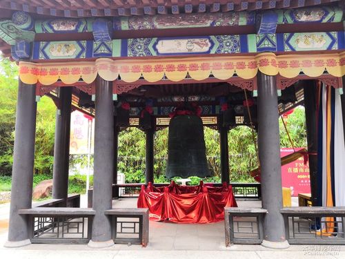 乔振宇舒畅乔振宇舒畅在一起过吗