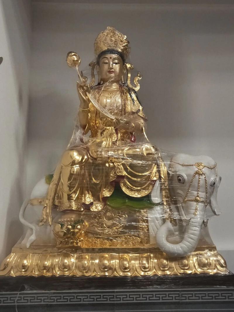 ������2025���������Ӱ�����ǵĻ����Ҹ��ͼ�ͥ��г