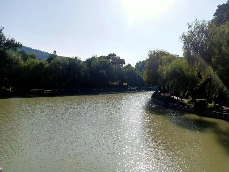 千与千寻国语版爱奇艺