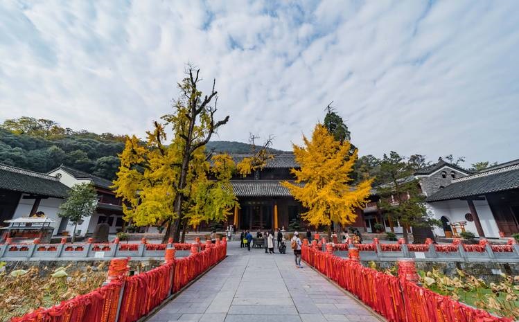 每个月份对应的生肖 一年十二个月各是什么生肖月