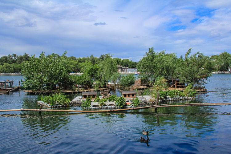 著名建筑教育家王飞因意外逝世终年45岁